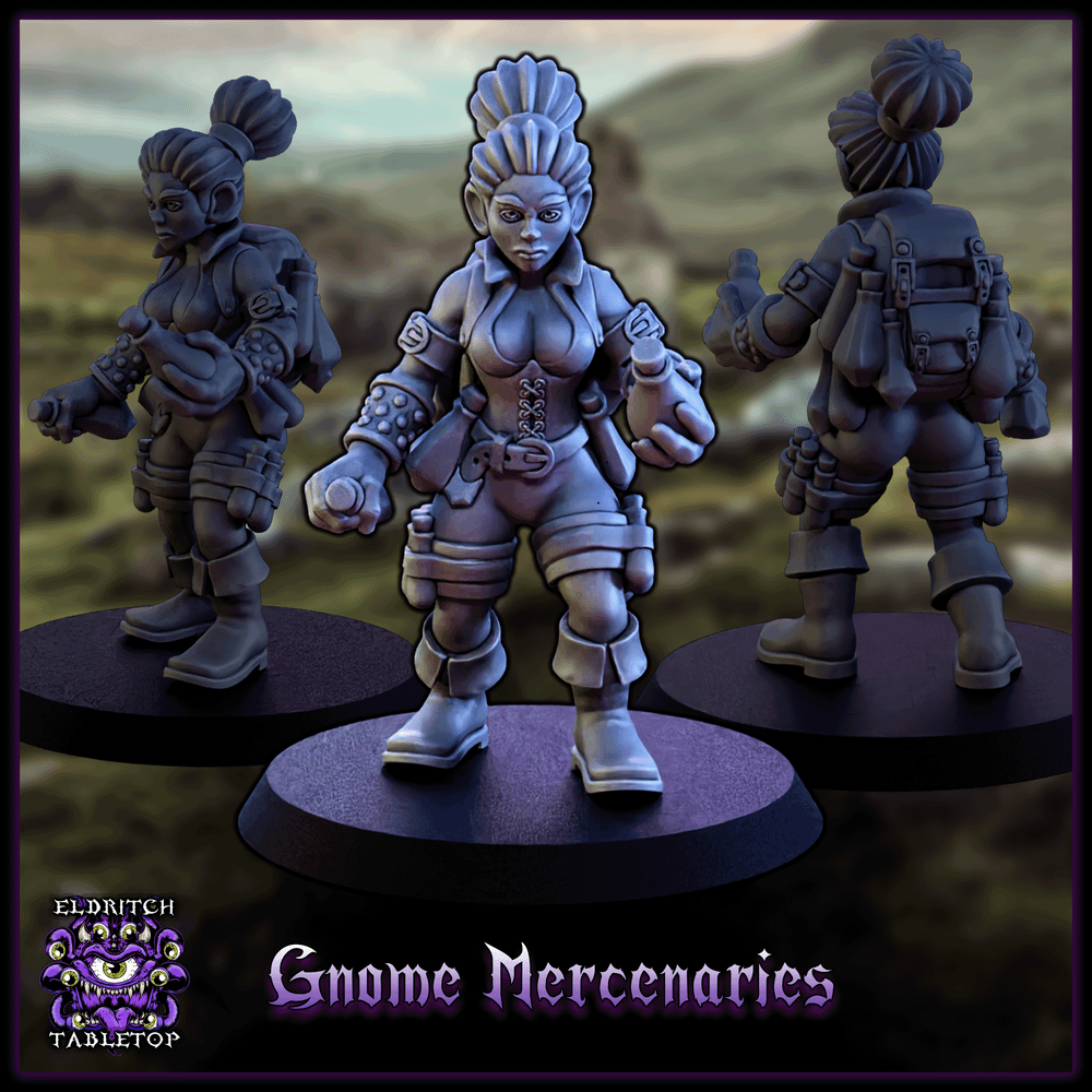 Gnome Mercenaries