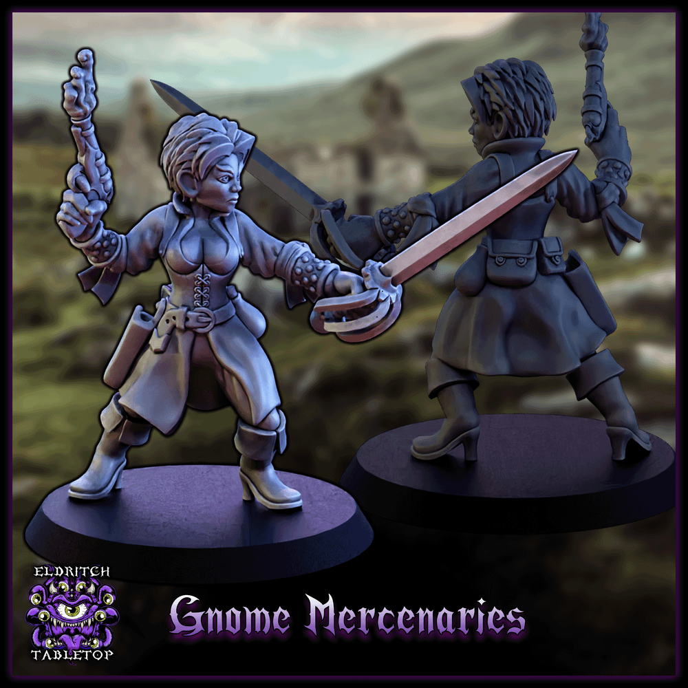 Gnome Mercenaries