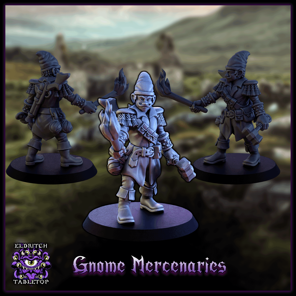 Gnome Mercenaries