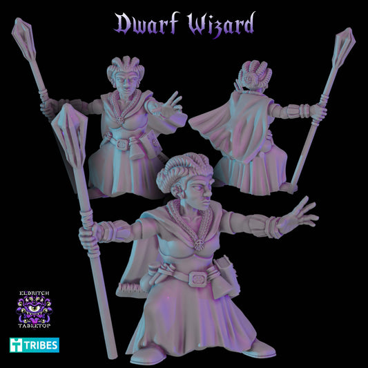 Dwarf Wizard